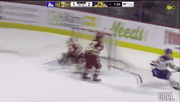 Moncton Wildcats GIF