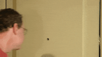 Bernardo Smile GIF