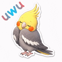 Animals GIF