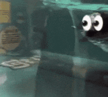 Eyes Observing GIF