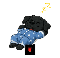 Oreo Dormire Sticker