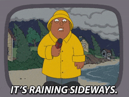 weather report GIF