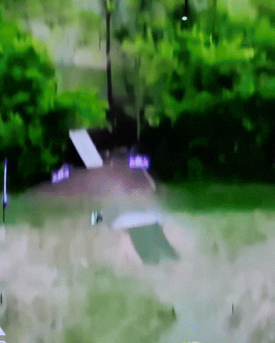 Golf GIF