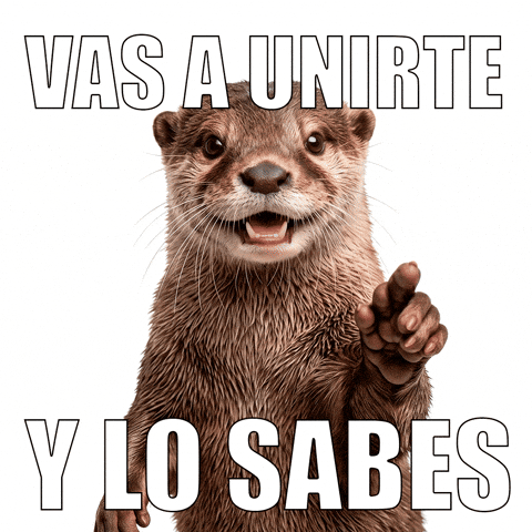 Nutria GIF by ecoembes