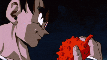 Dragon Ball Z GIF