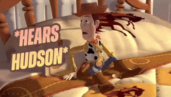 Hudson GIF