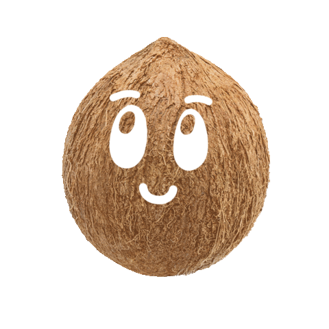 Coco Sticker by Silk Mexico