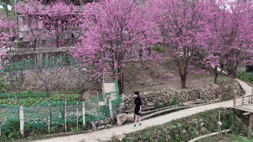 Type Something GIF