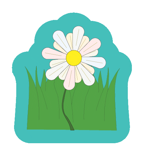 Evapify Vapes Sticker