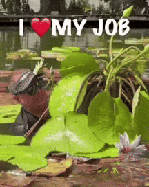 I Love My Job Aquascape GIF