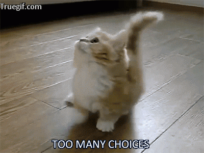 Overwhelmed choices gif  find & share on giphy