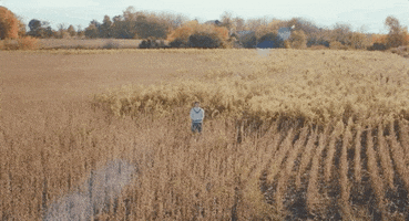 Field Adelaide GIF by Johnny Orlando