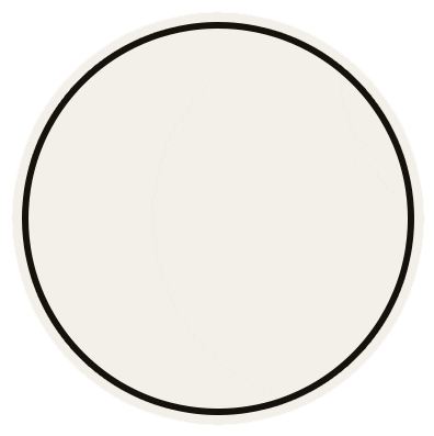 Lime Sticker