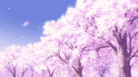 Cherry Blossom GIF - CherryBlossom - Discover & Share GIFs