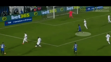 jacopodifrancesco  GIF