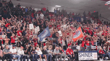 Florida Atlantic Basketball GIF by FAU Athletics