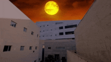 Friday The 13Th Moon GIF by UC Davis