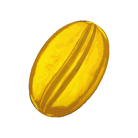 Swiss SCA – Specialty Coffee Association Switzerland Sticker