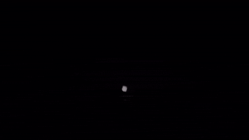 Bsp GIF by BlankSquareproductions