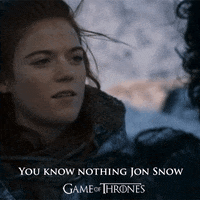 Game Of Thrones You Know Nothing animated GIF
