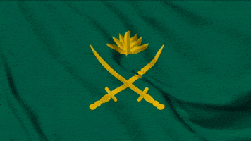 Bangladesh Flag Army GIF