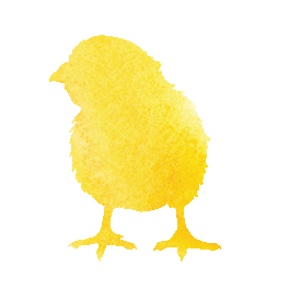 Chick Sticker by Belstra Milling Company