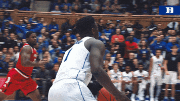 college basketball hoops GIF by Duke Men's Basketball