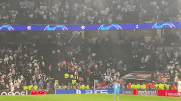 Champions League Cl GIF by Storyful