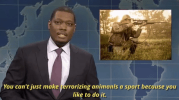 michael che you cant just make terrorizing animals a sport because you like to do it GIF by Saturday Night Live