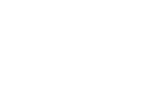 Spider Sticker by brandsuniverse_wony