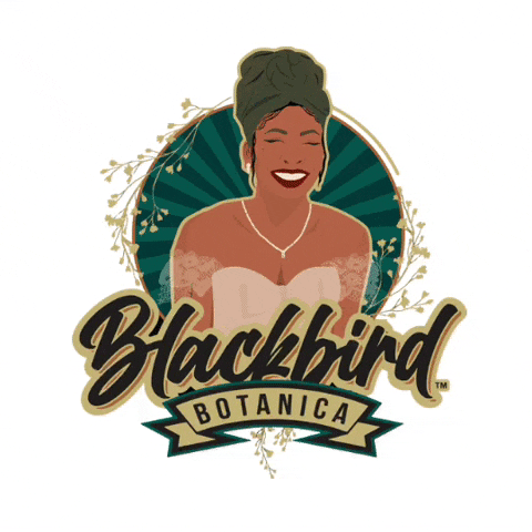 Blackbirdbotanica louisiana blackbird creole tealover GIF