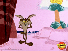 wile e coyote waiting GIF by Looney Tunes