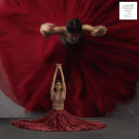 200.gif?cid=fc005b08fbe8355c7786772bfe4a90a703af5845aa4fc0c9&rid=200.gif&ct=g