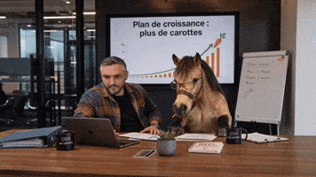 Startup Cheval GIF by Morphaius