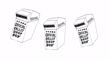 Election Voting GIF