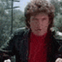 David Hasselhoff Memebag GIF