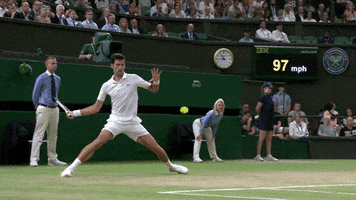 tennis sliding GIF by Wimbledon