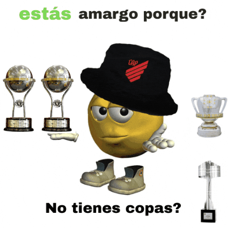 Copa Do Brasil Baixada GIF