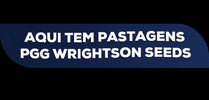 PGG Wrightson Seeds Brasil GIF