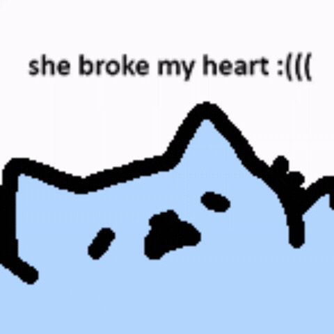 Spainnubcat GIF