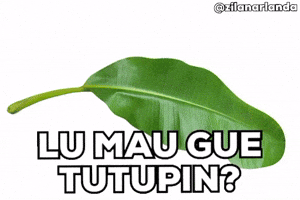 Daun Korban GIF