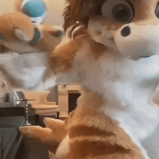 Furry GIF