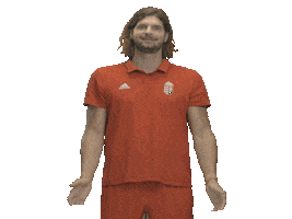 Hungary Kézilabda Sticker by Watch Games. See More.