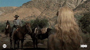 Season 2 Evan GIF by Westworld HBO