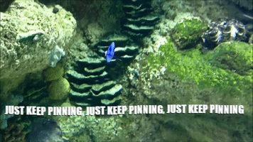 Sheschasingzen #Pinterest#Pinning#Getpaidtopin#Justkeeppinning#Zenjenny GIF