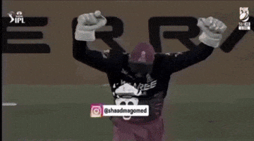 Royal Challengers Bangalore Pink Army GIF