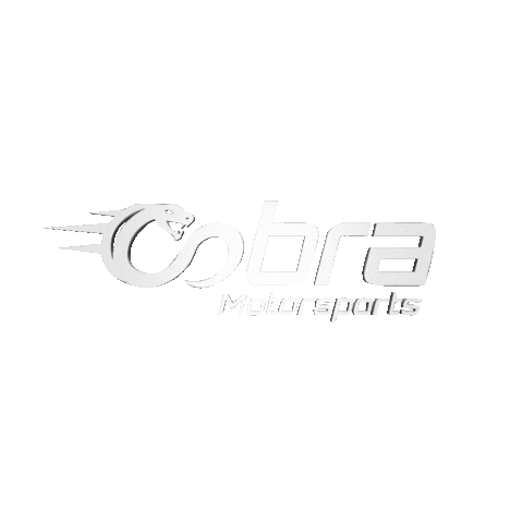 3D Racing Sticker by Cobra Media LLC