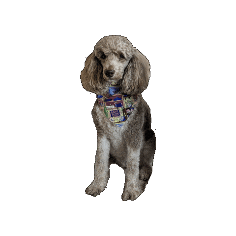 Video Game Dog Sticker by Geekster Pets