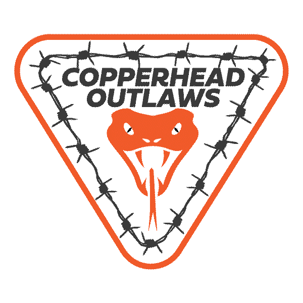 Blue Ridge Roller Derby GIFs on GIPHY Be Animated