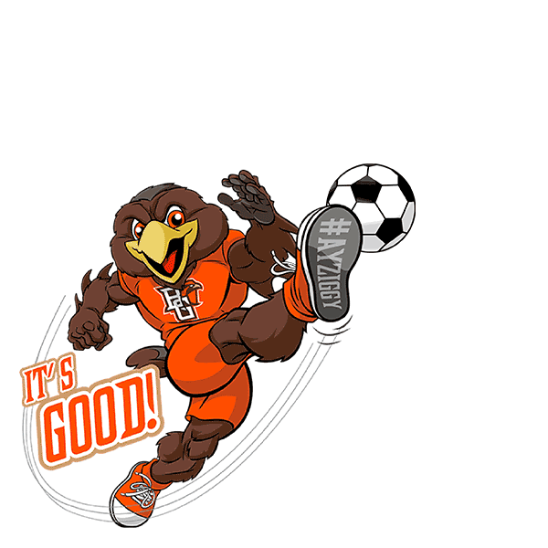 Bgsufalcons Ayziggy Sticker by Bowling Green State University for iOS